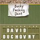 Illustration for article titled Sorry New Yorkers or any Yankee fans this novel title rocks